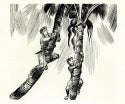 Illustration from The Swiss Family Robinson, showing two children climbing palm trees to retrieve coconuts 