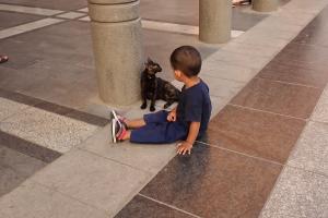 Color photograph of peace being shared between a child and cat in the city of Medina during sunset. 