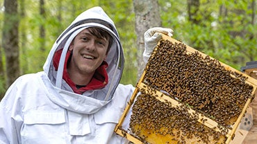 David Strout with a bee-covered frame from a beehive.