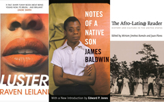 Collage of book covers from this list, including Luster, Notes of a Native Son, and The Afro-Latin@ Reader
