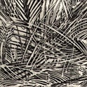 Example of Relief etching, showing palm leaves