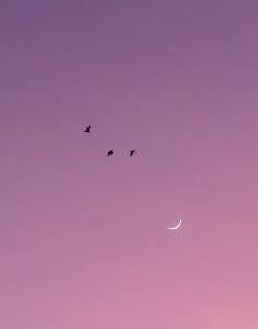Color photograph of three black birds and a crescent moon and a purple sky in the background