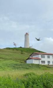 A scenic color photograph of a lighthouse in Iceland at the top of a grassy hill. Two birds fly across the cloudy skies over an old house.