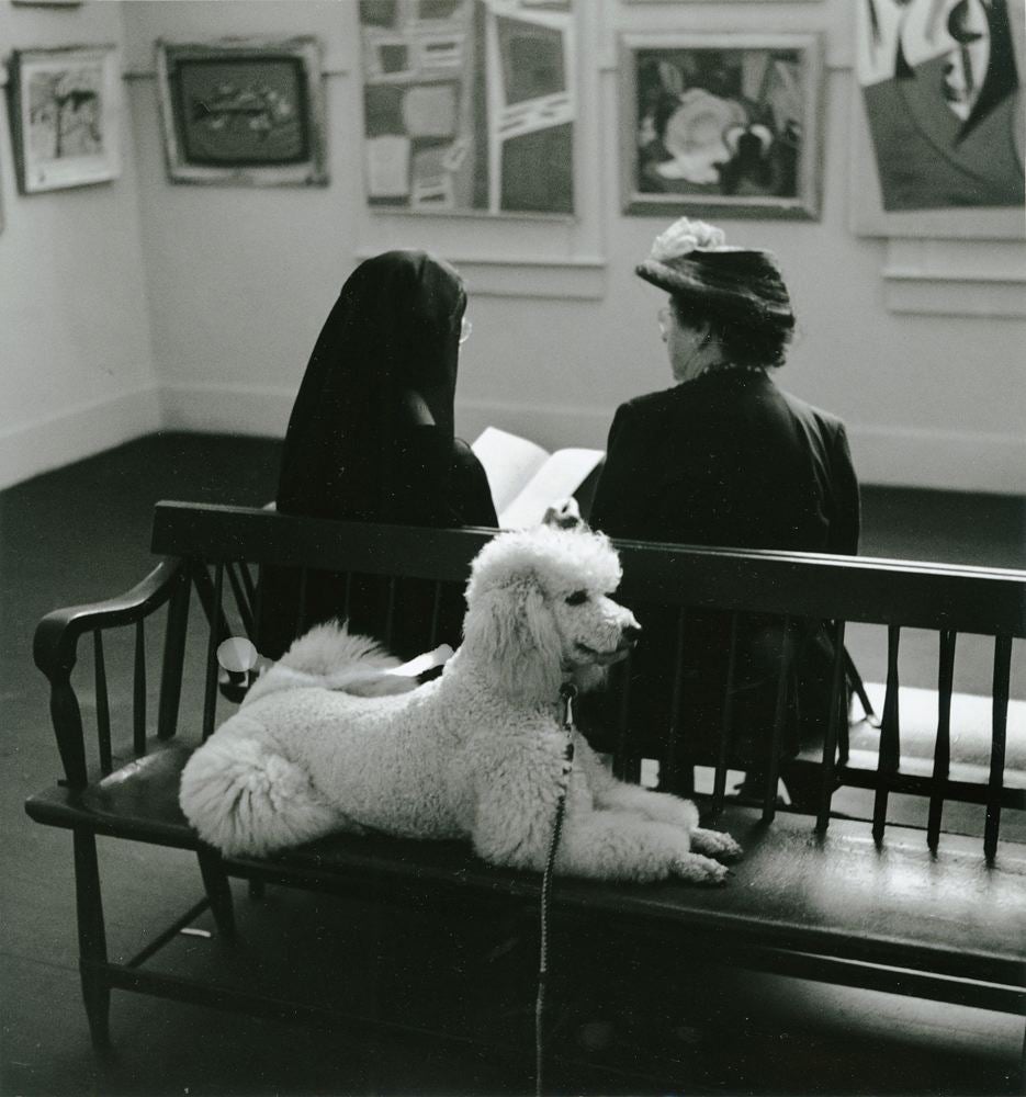 Dog with Two Women in Art Gallery